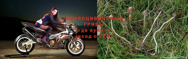 MDMA Premium VHQ Михайловск