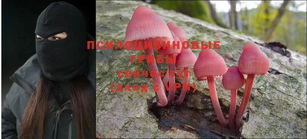 соль ск Навашино