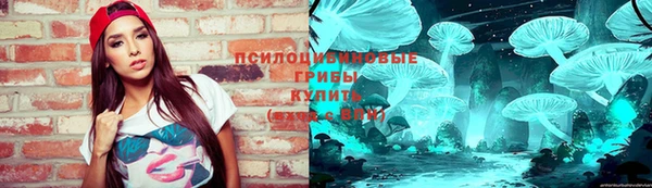 соль ск Навашино