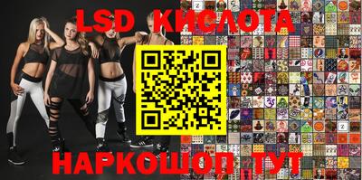 индика Аргун