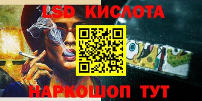 прущие грибы Ирбит