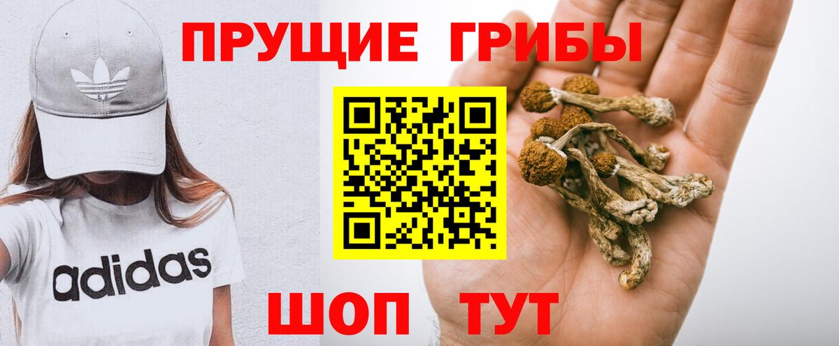 Галлюциногенные грибы MAGIC MUSHROOMS  Псилоцибиновые грибы Cubensis  Вход с VPN  Красноперекопск 