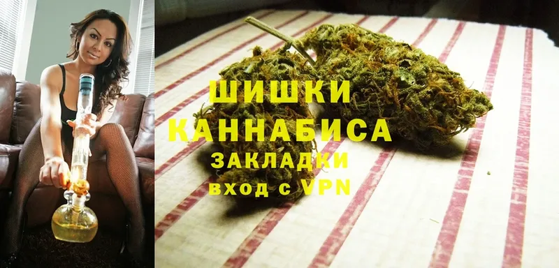 Бошки марихуана конопля  кракен как зайти  Красноперекопск  как найти закладки 